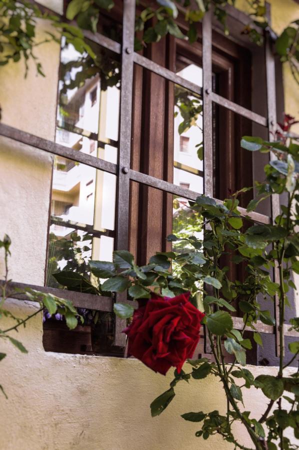 Lovely Nest Near Center Apartment Florence