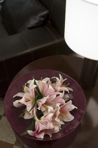 Bed & Breakfast Casa Rovai Firenze