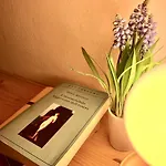 la Bella Vita