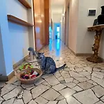 Stanza Singola In Appartamento Condiviso