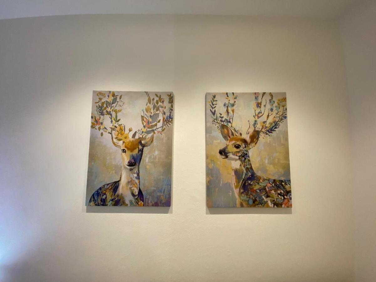 Apartamento Kinga