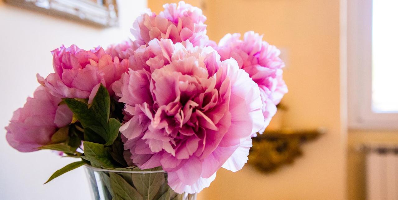 Il Palagetto Bed & Breakfast 3*