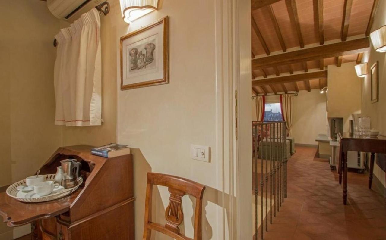 Signorelli Halldis Firenze