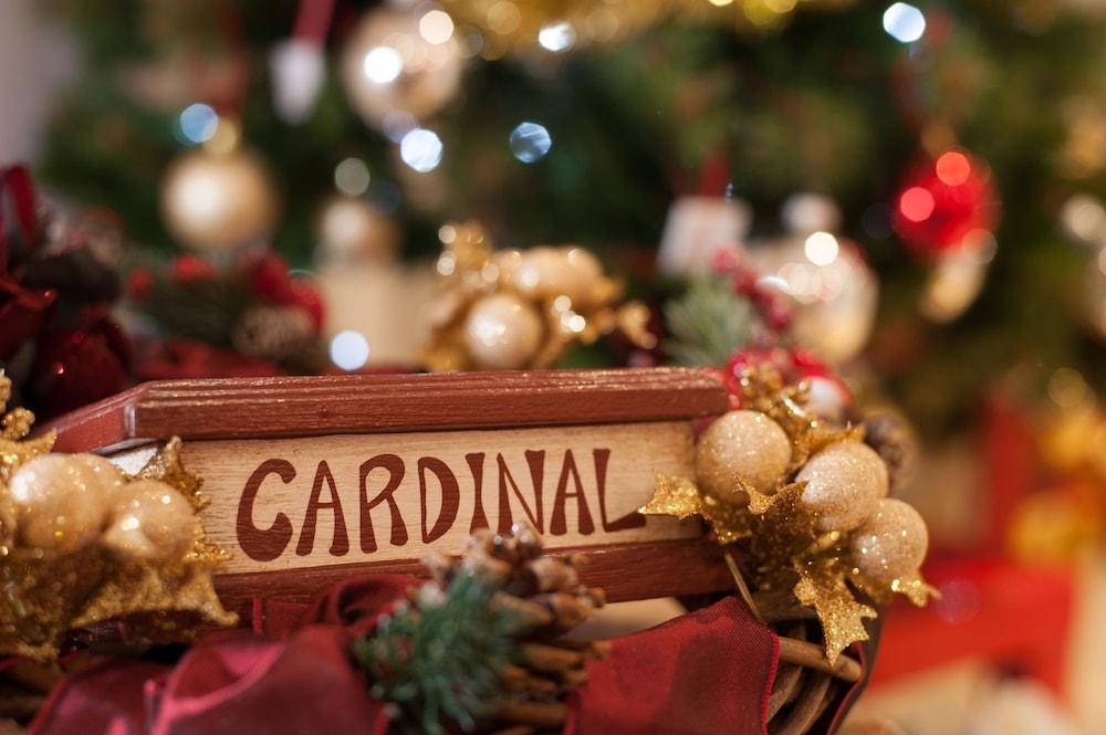 Cardinal Of - Recommended For Ages 25 To 55 3* Florence