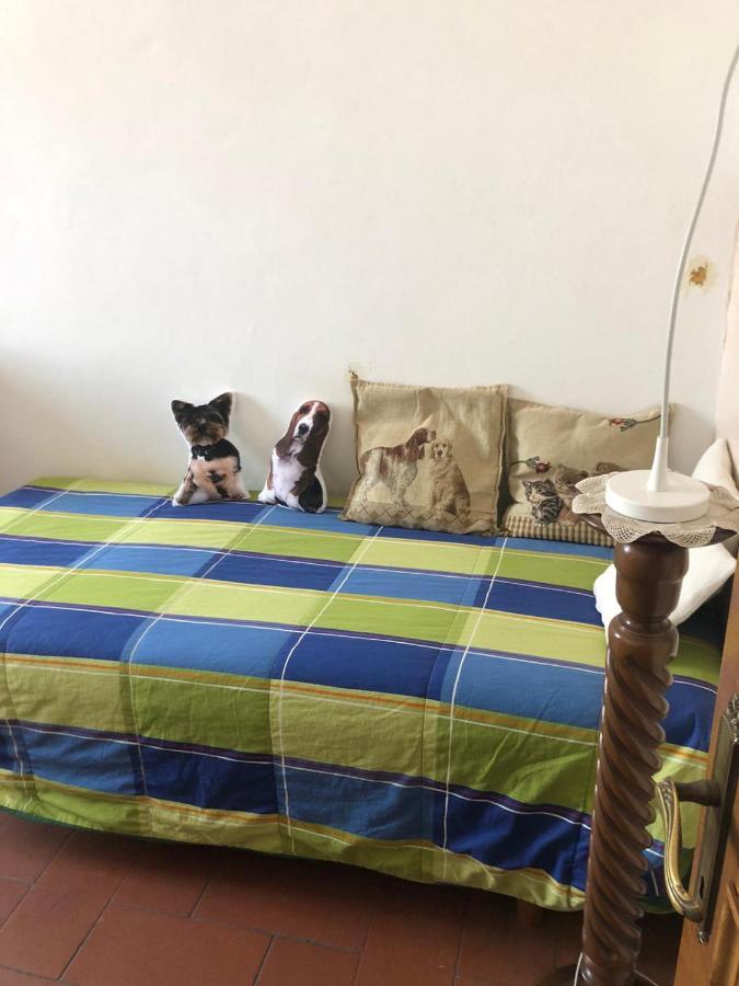 Solo Traveller Bedroom In Homestays Center Accommodatie bij particulieren