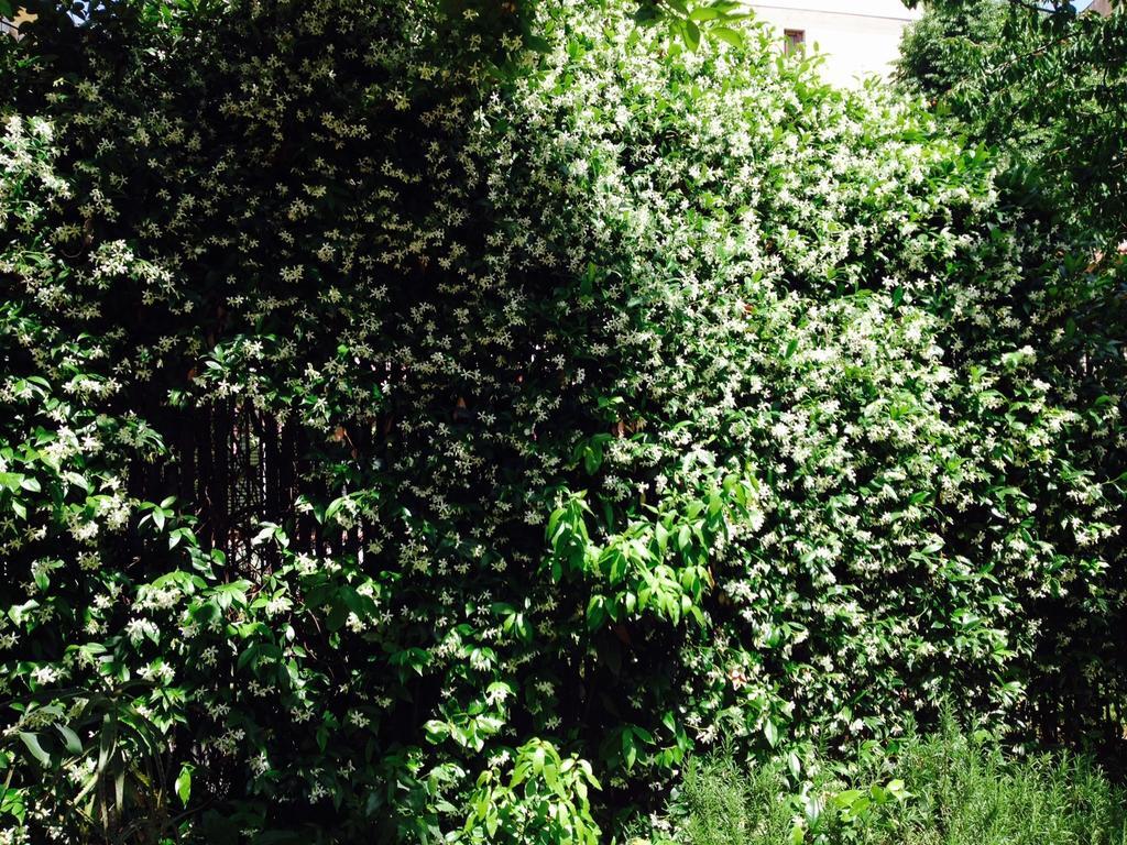 Bed & Breakfast La Casa Di Scarlett