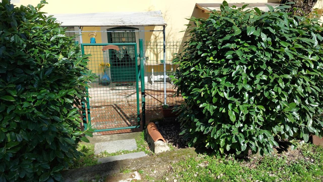 Apartamento La Piccola Oasi Con Parcheggio *