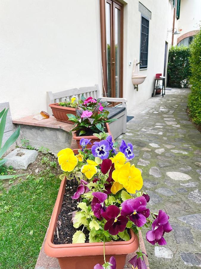 Apartamento Dalu Davide - Private Car Park 15 Minutes To The Center