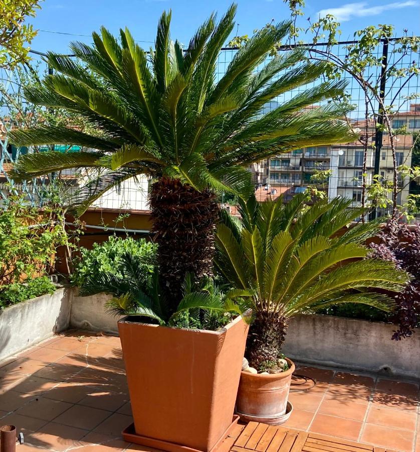 Il Giardino Sospeso Di Anna Leilighet