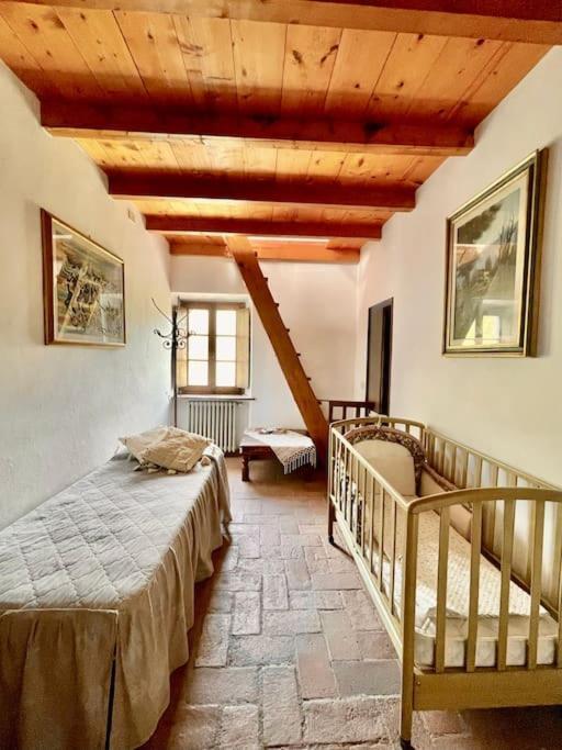 Il Colle - Pino Firenze