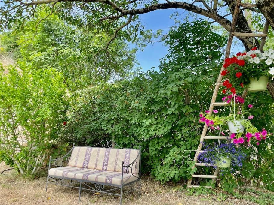 Apartment Il Colle - Pino *
