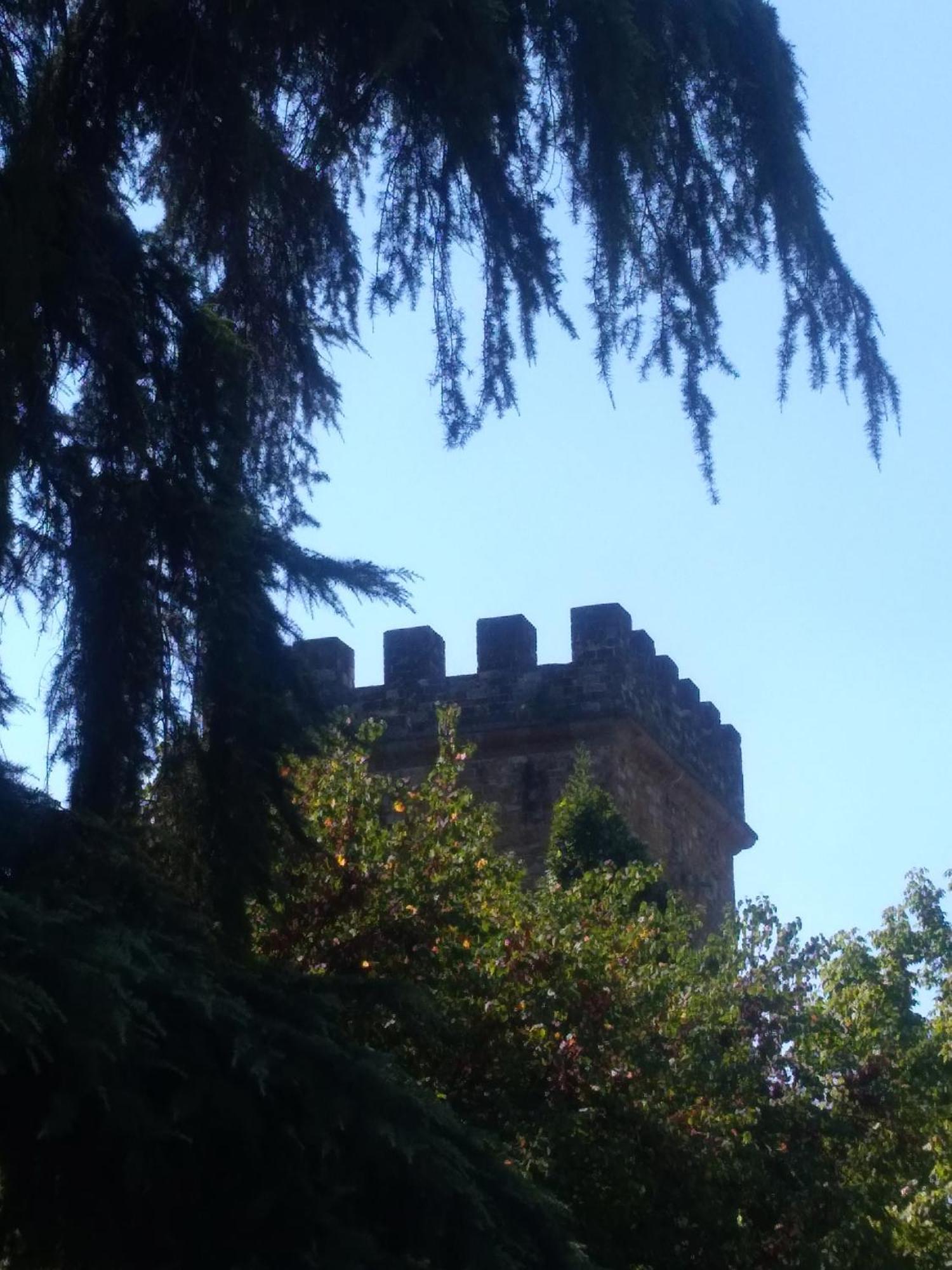 Movie Star With Garden Appartement Florence