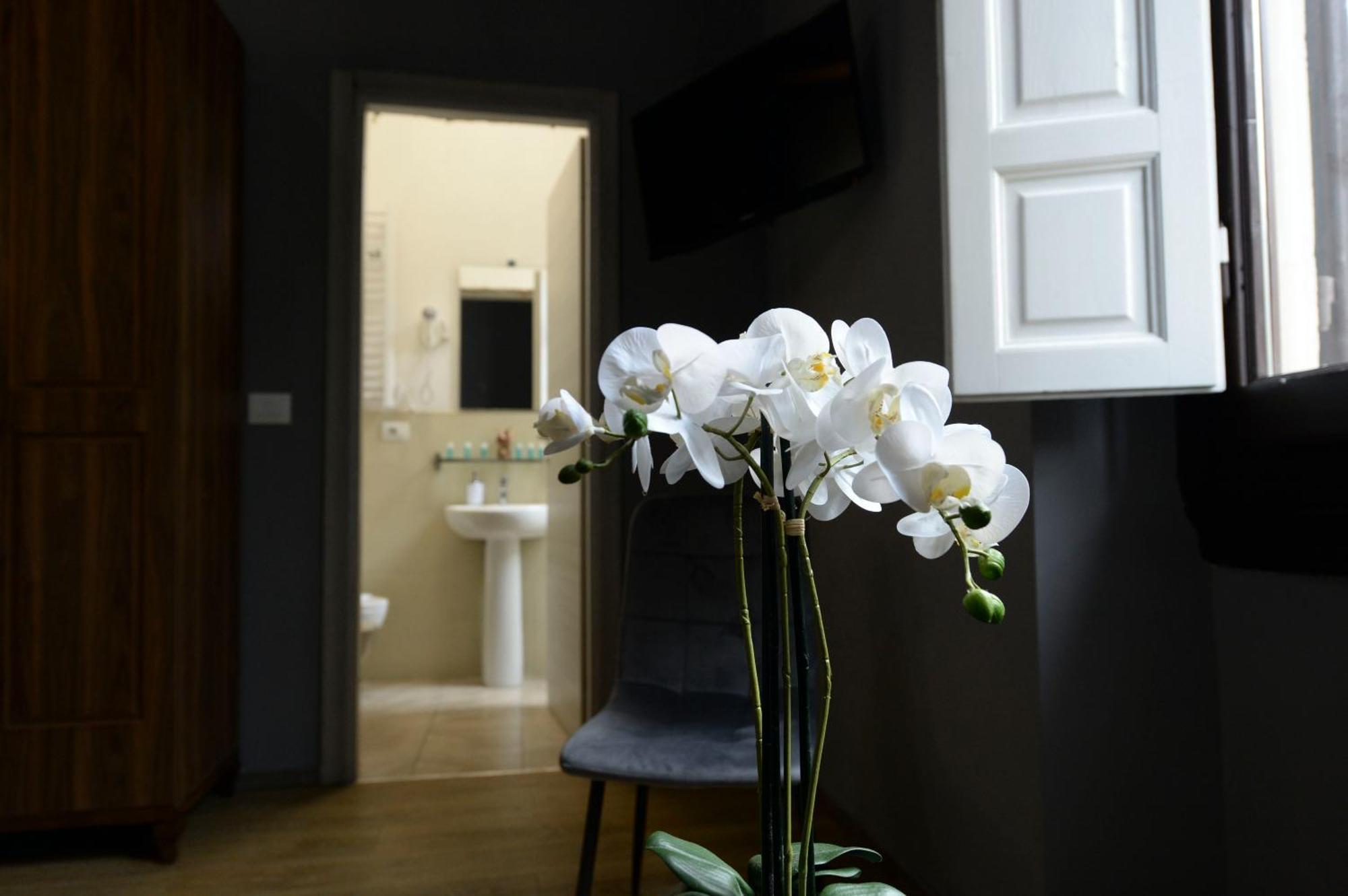 Palazzo Oliveto Couette-café *