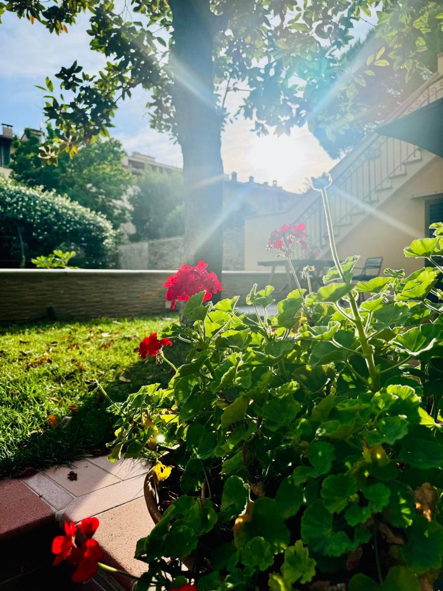 La Casa Di Grace Appartamento