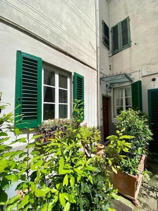 Benvenuti Nel Paradiso In Citta * Firenze