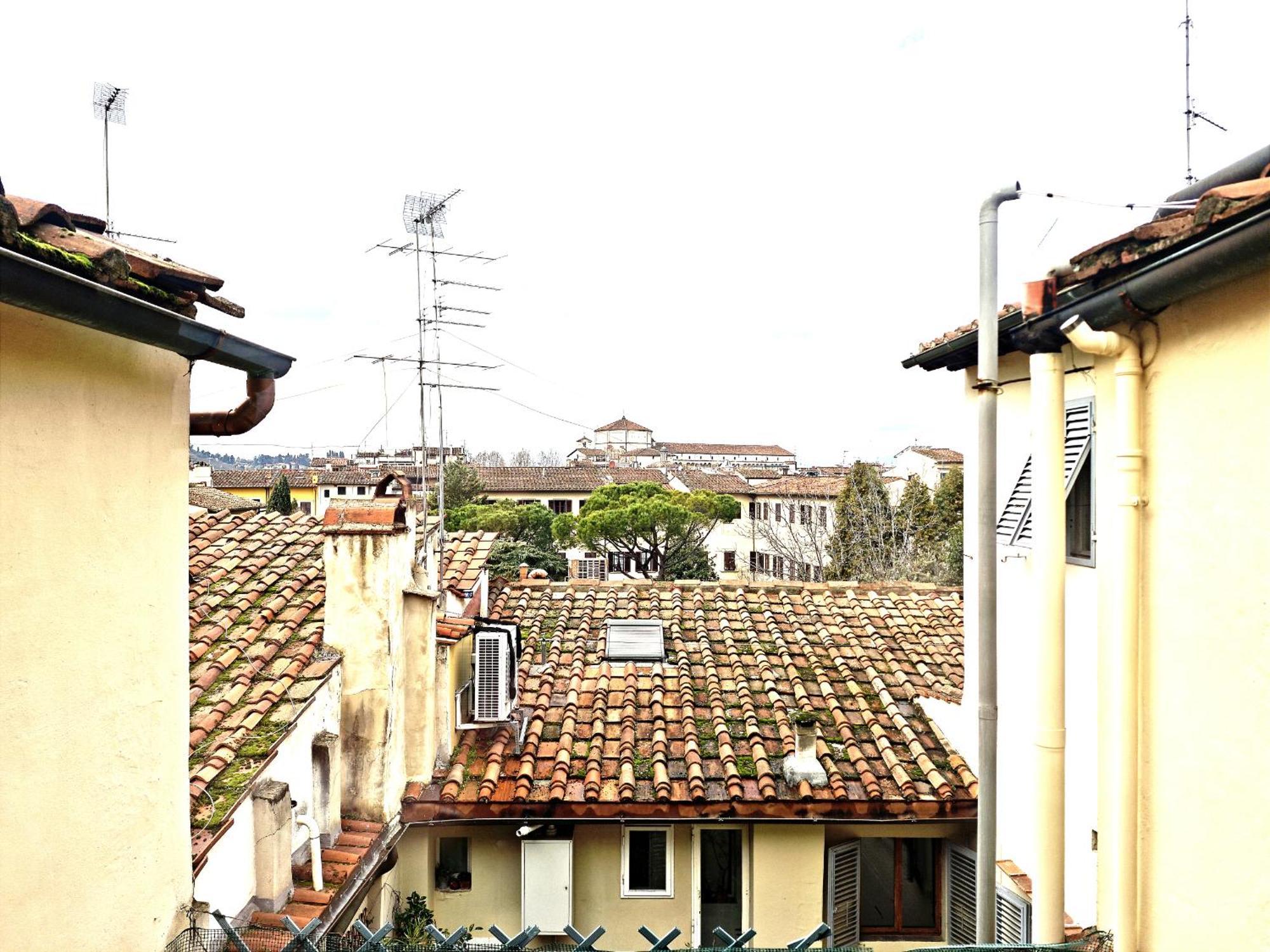 Greenhouse * Firenze