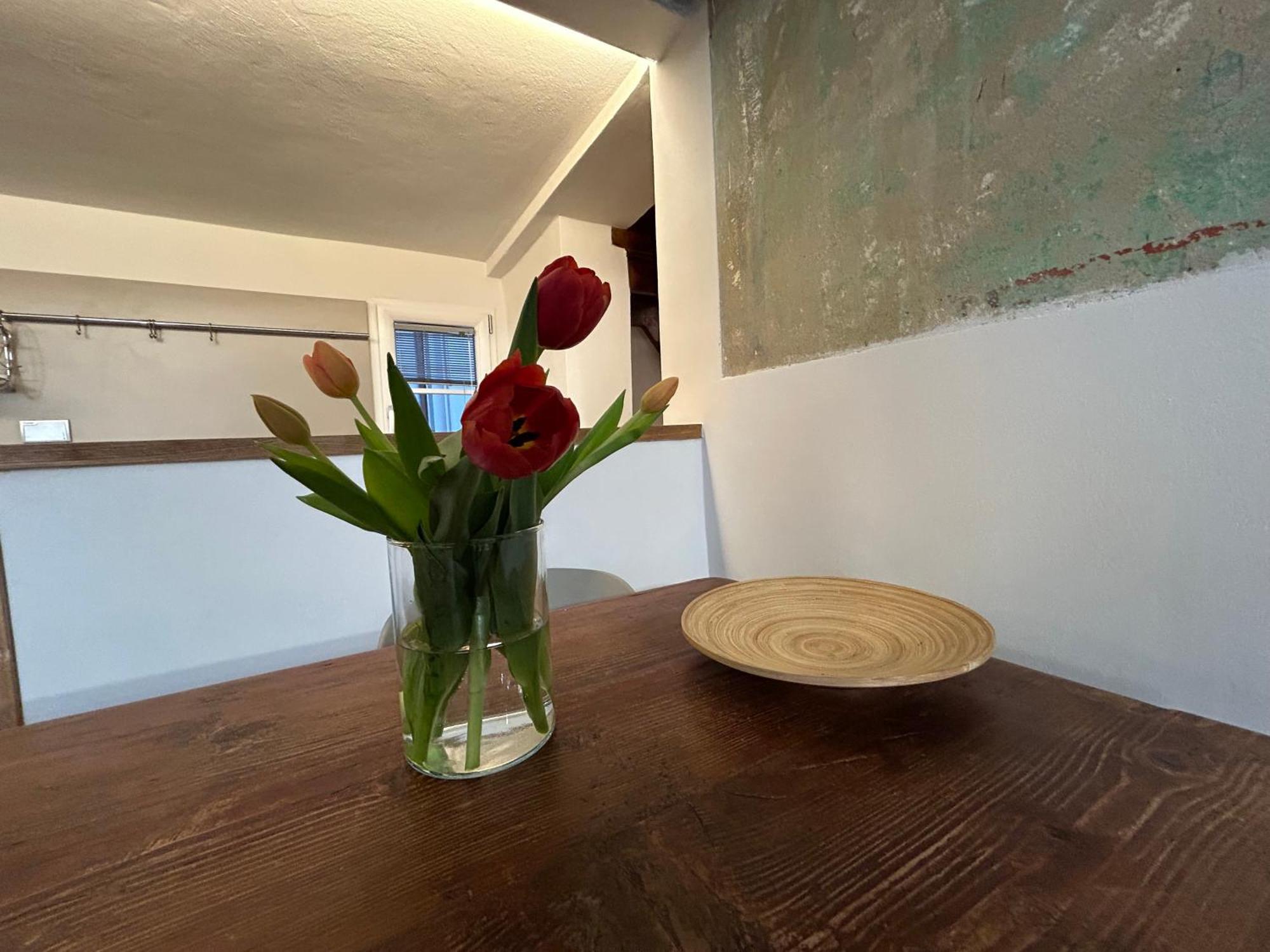 Bela Guest house