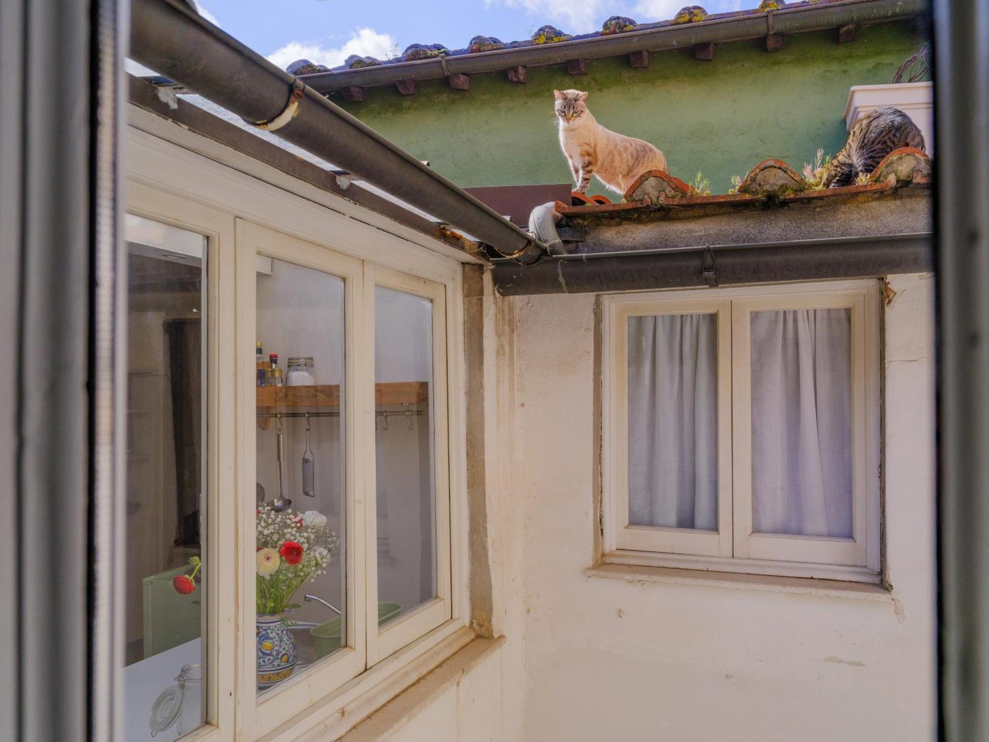 Nugolo Atelier - Light & Charm In Oltrarno Lejlighed