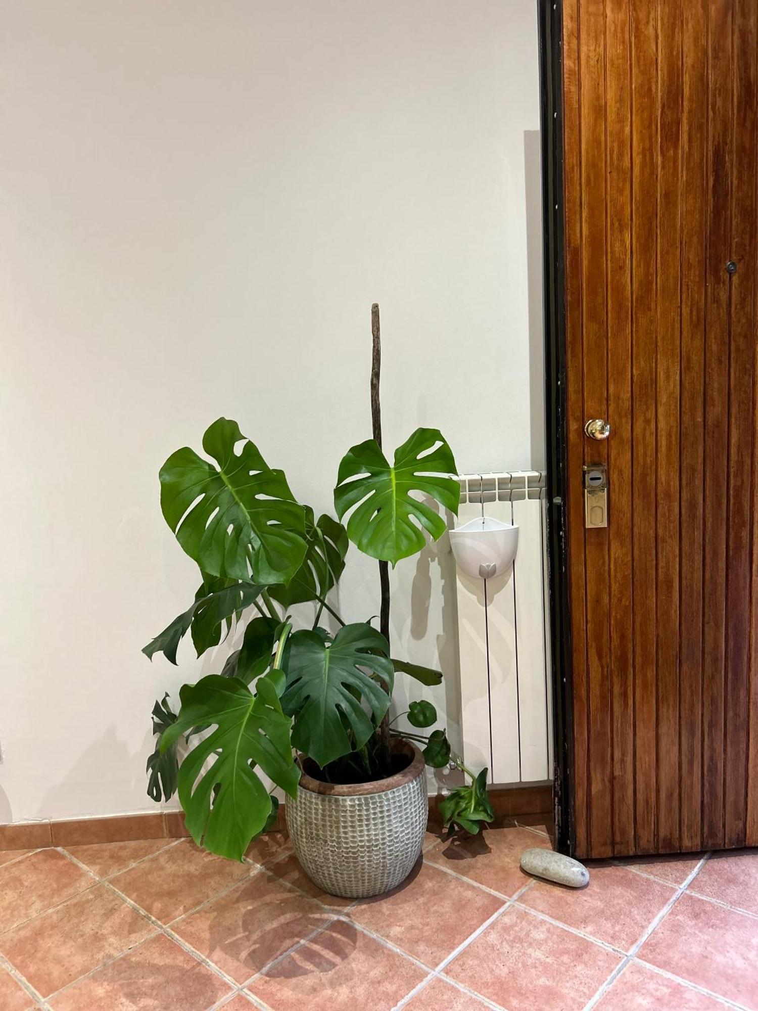 Apartamento Le Tre Orchidee Florença