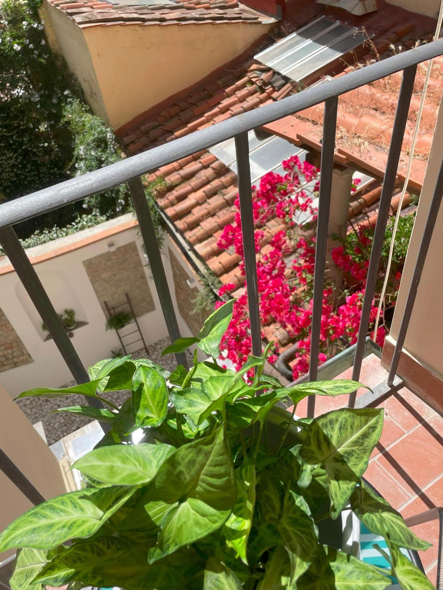 Michelangiolo