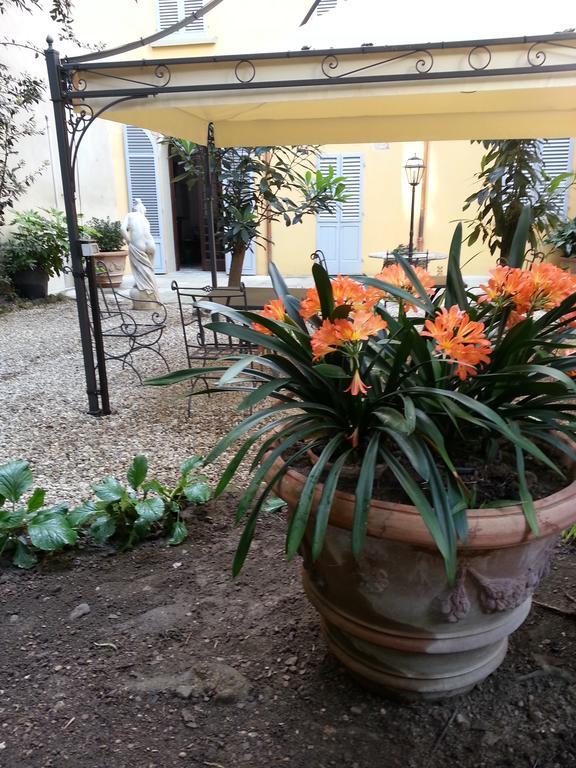 Little Garden Donatello Appartement