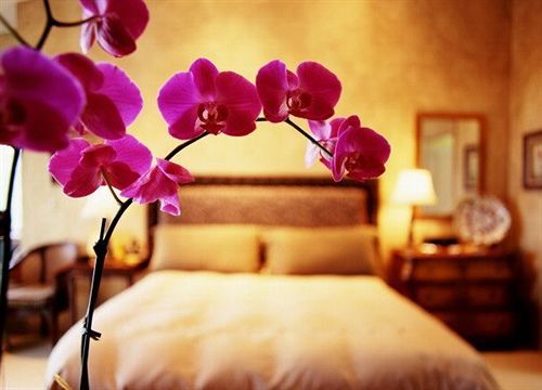 Davanzati Hotel Florence
