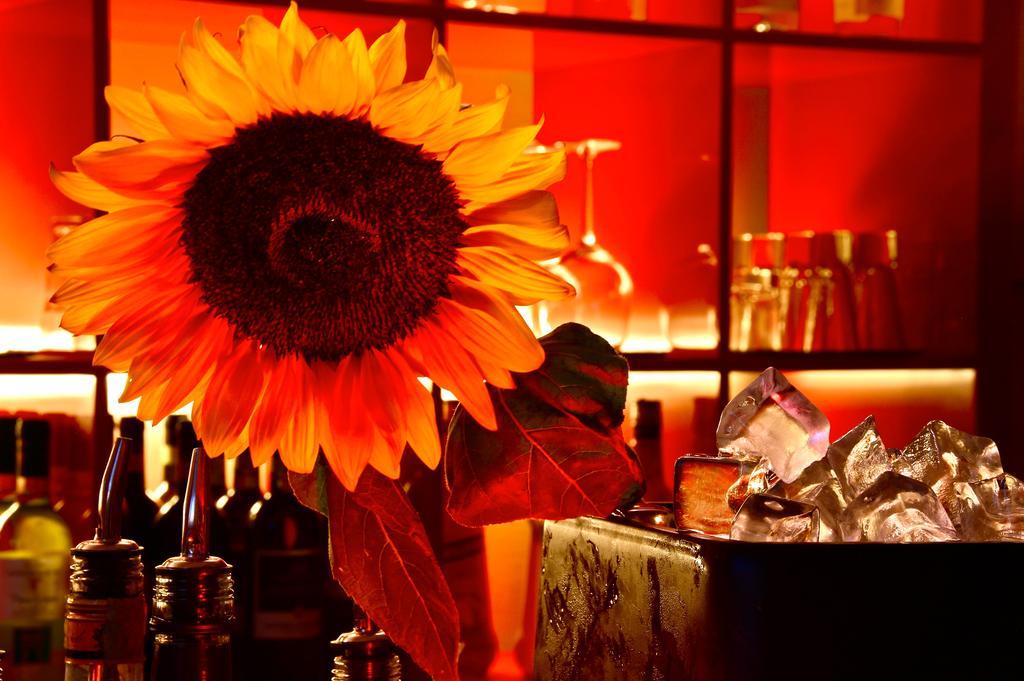 Eurhotel 3* Firenze