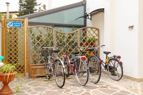 Comfort 2* Firenze