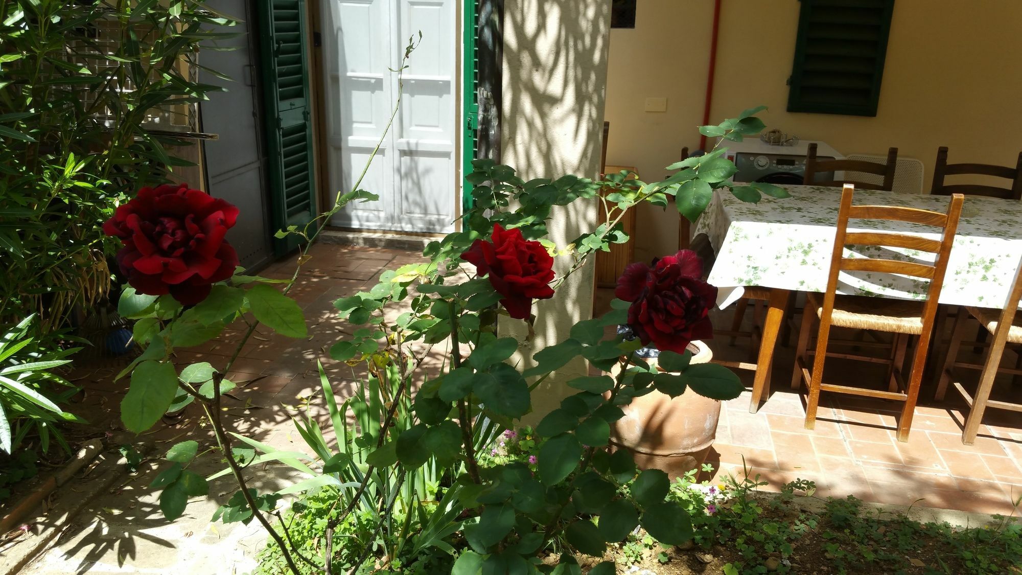 La Nei Fiori Florença