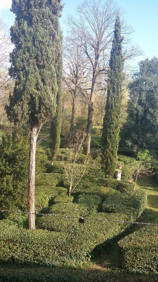 Lejlighed L'albero Di Garibaldi Firenze