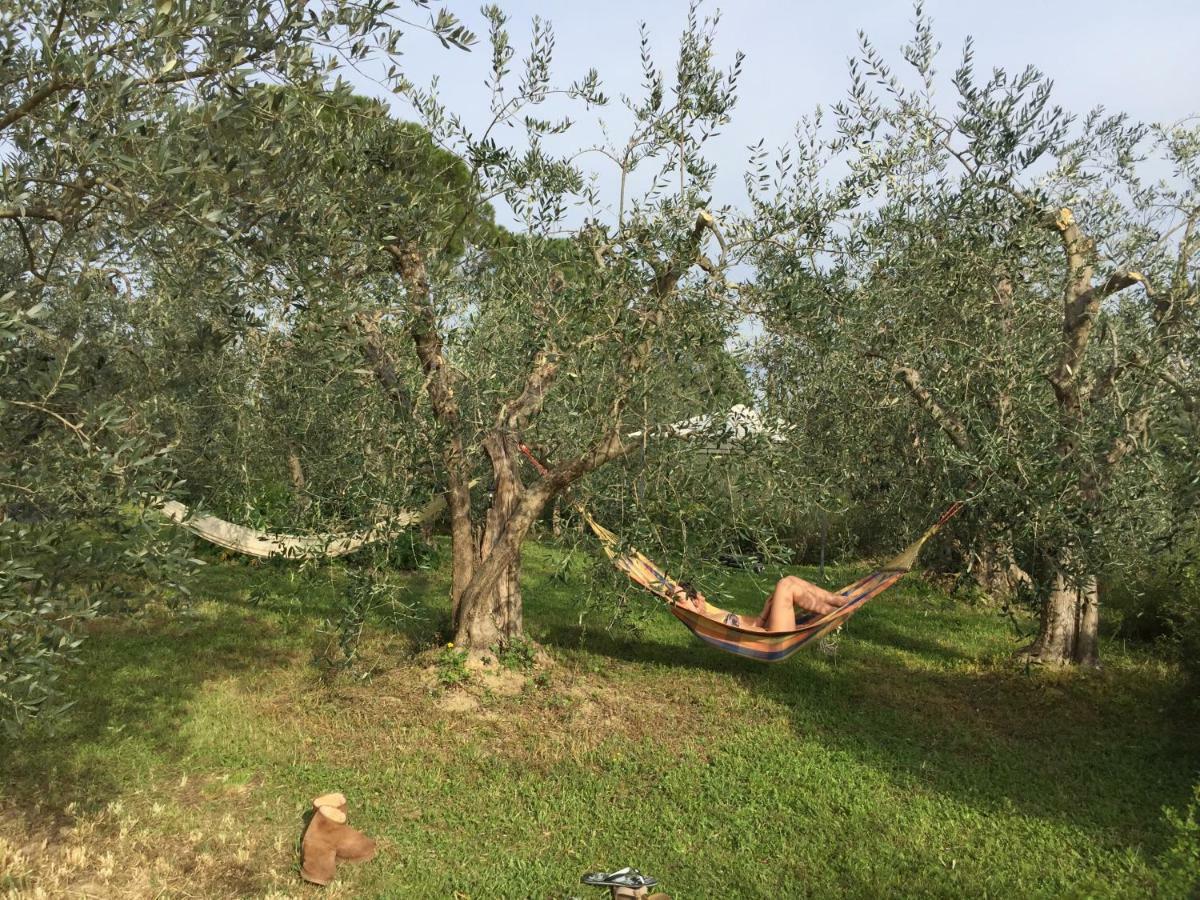 Tuscan Sun * Florença