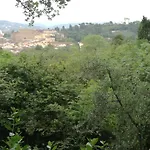 Boboli & Pitti House