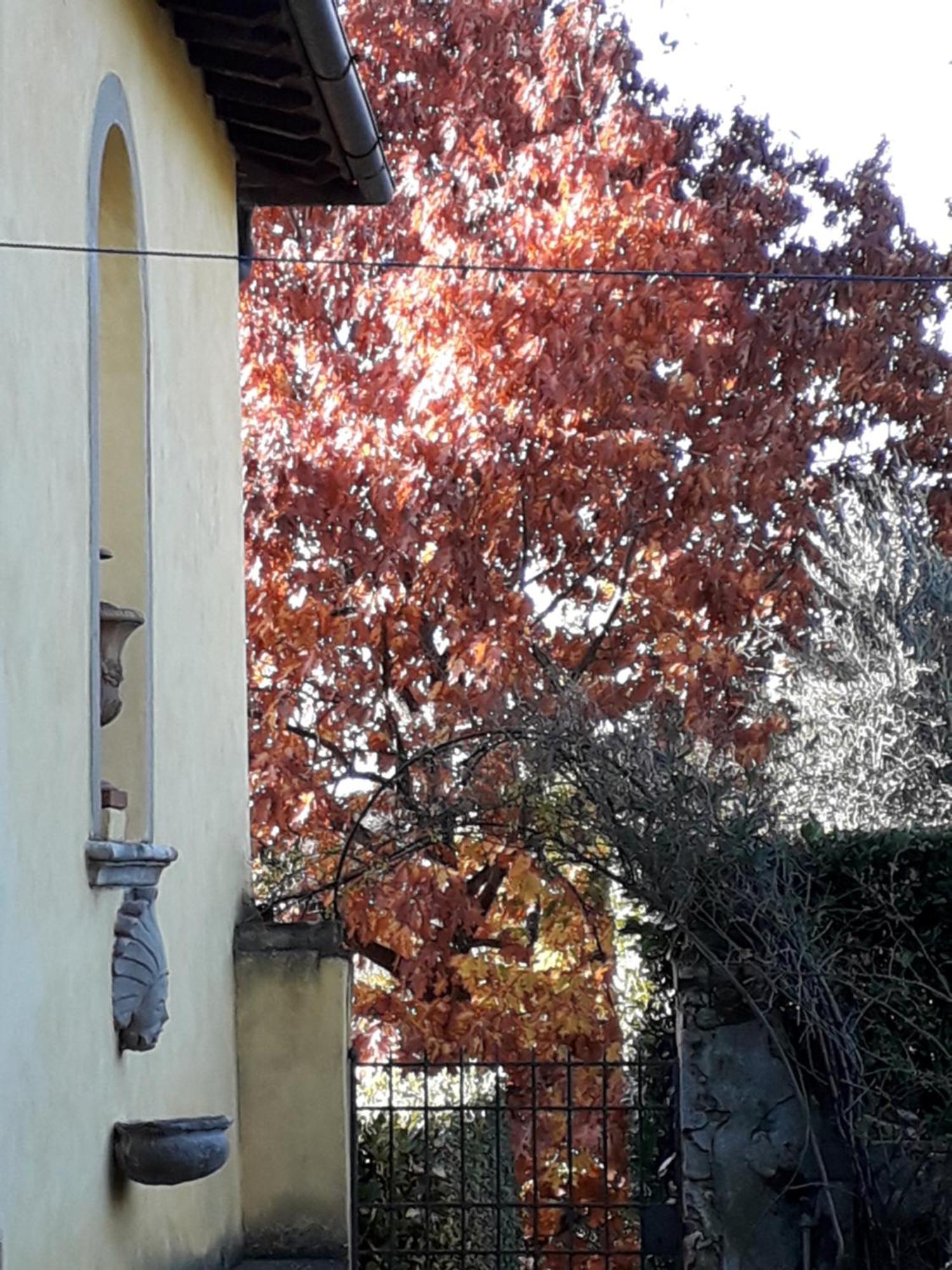Le Pergole- Guest house Florence