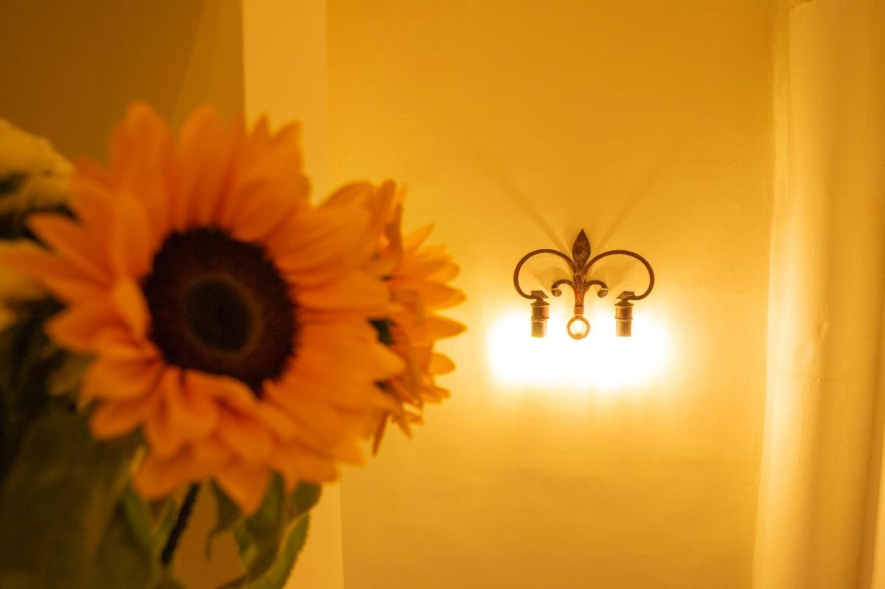 Appartement L'oziorinco