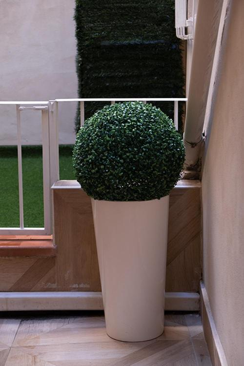 Provenzale Casa * Firenze