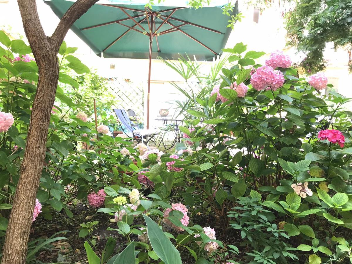 Leilighet Cynthia's Garden - With Private Garden In Santa Croce *