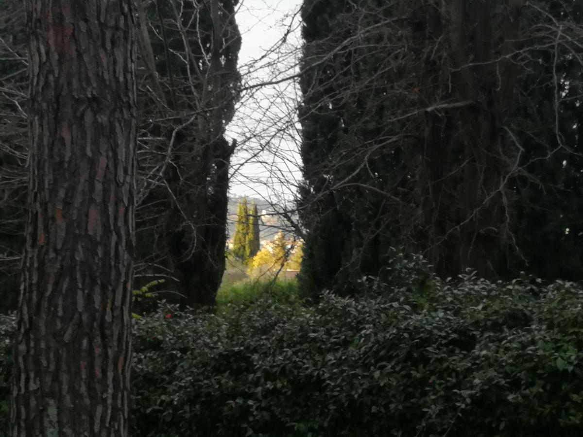 Lejlighed La Casa Di Duccio Con Parcheggio Gratuito Firenze