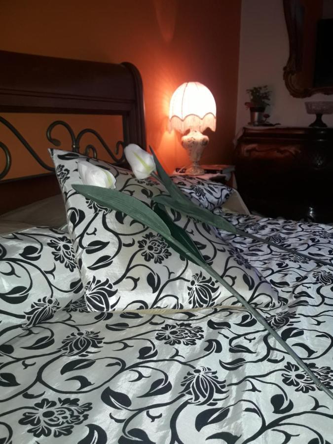Jade Lejlighed Firenze