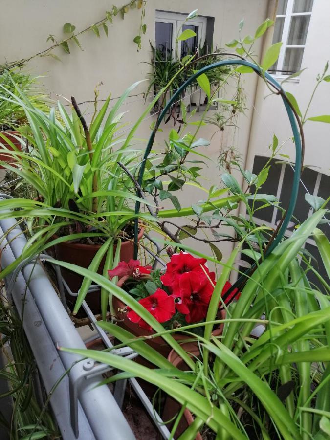 Apartamento Pitti Loft Florença