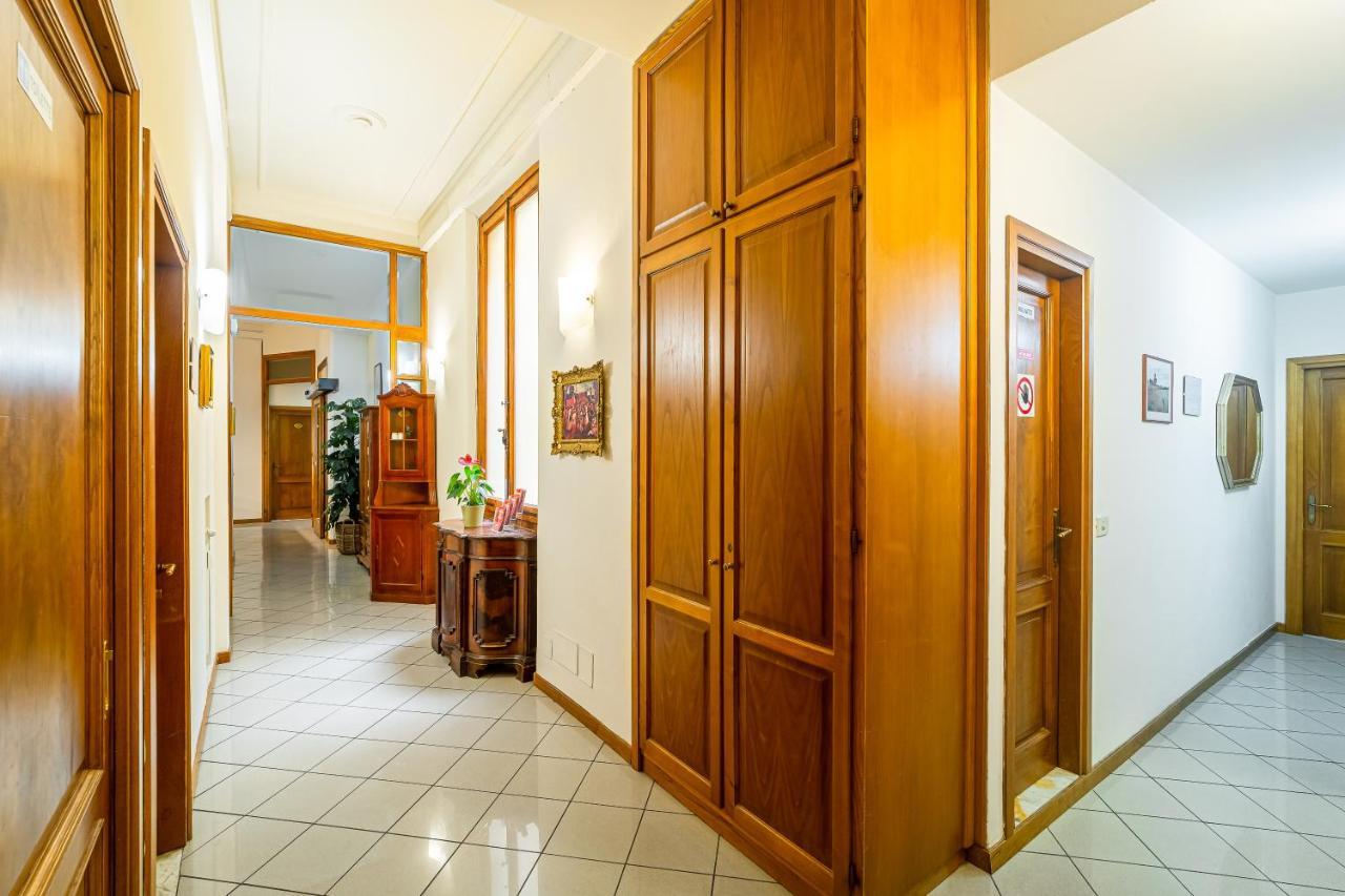 Lilium 3* Florence