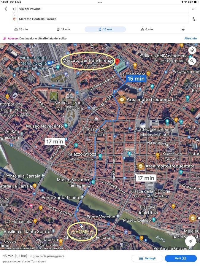 Uffizi & Santo Spirito Family/groups Apartamento