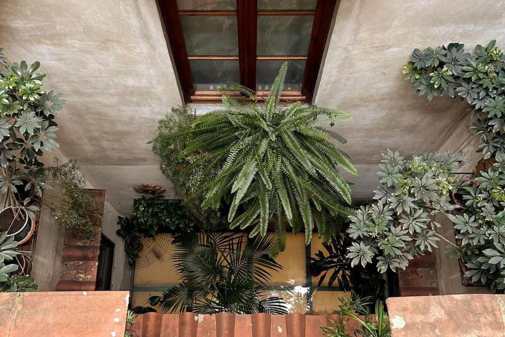 Appartement Santa Reparata Downtown *