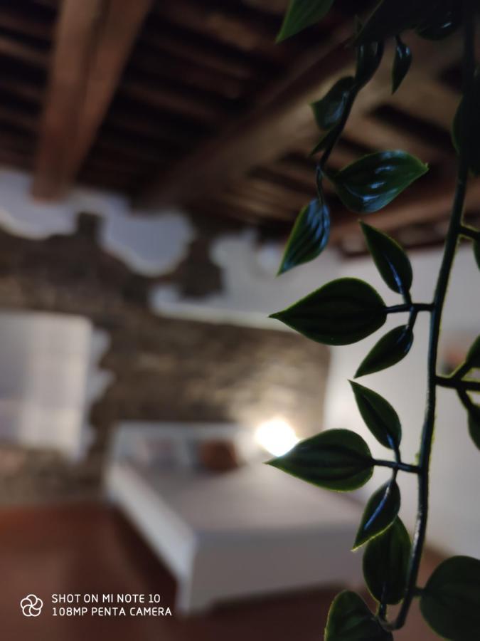 Maison d'hôtes Dante's Dei Cerchi *