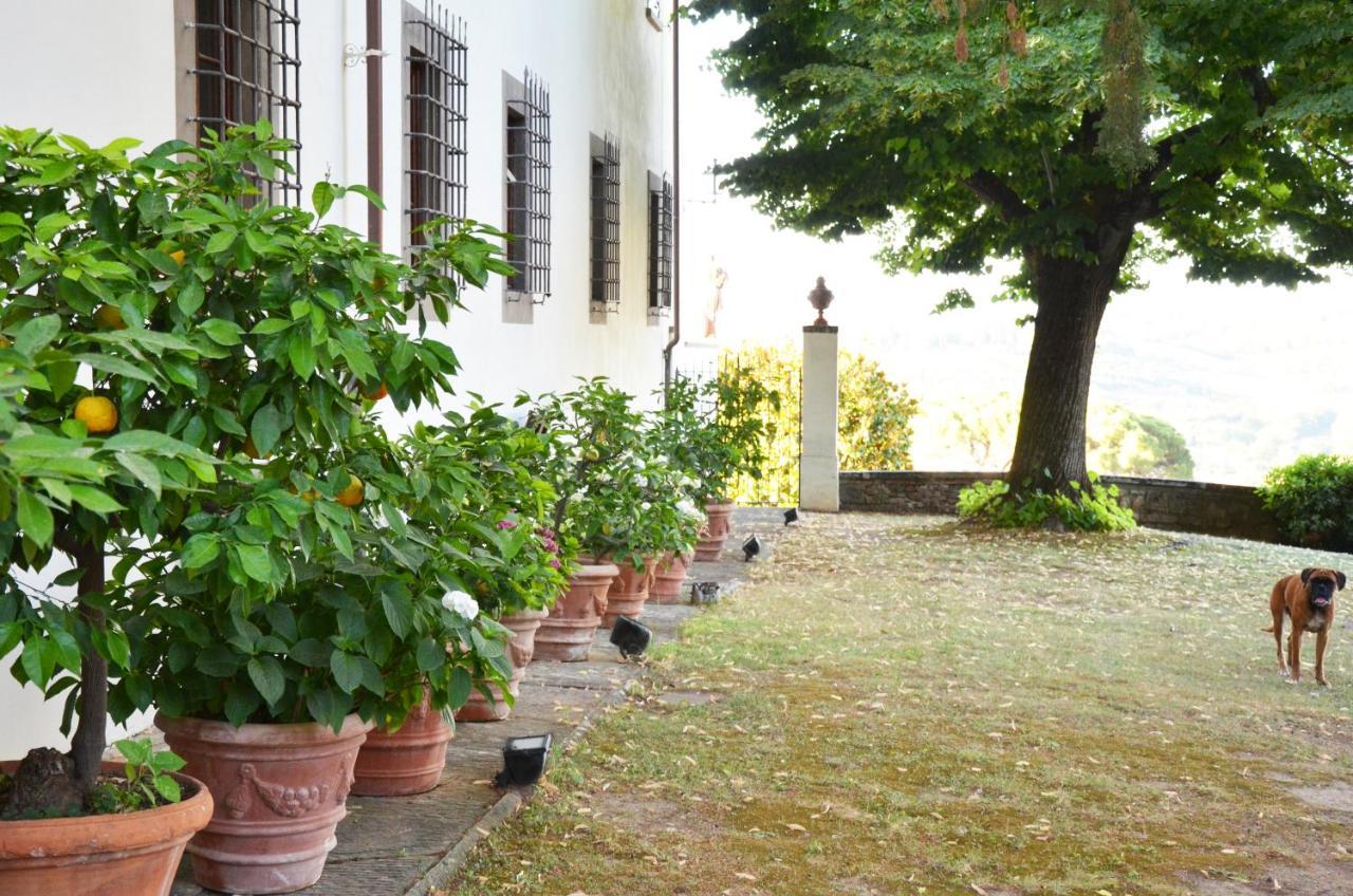Podere Di Montecchio - Colleramole Apartamento