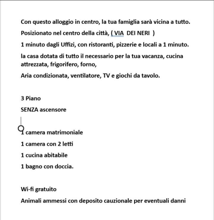 Lejlighed De' Neri Firenze