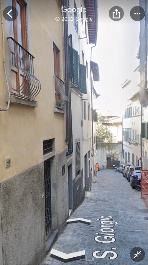 Medici In Firenze