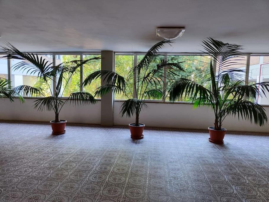 Appartement San Donato *