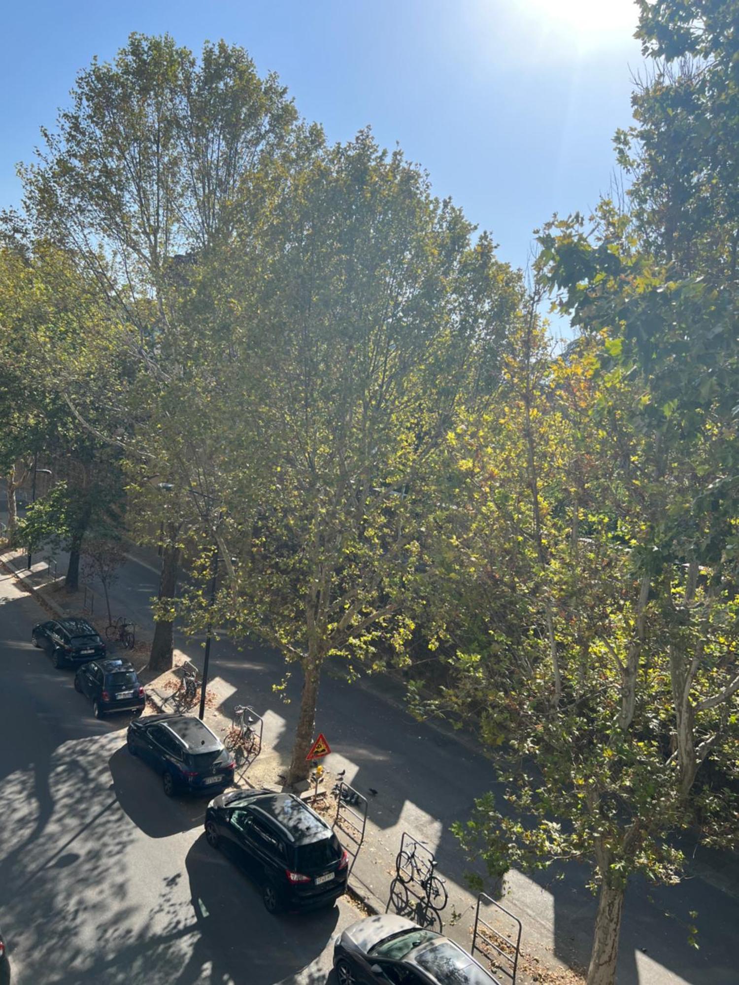 Apartamento Santa Rosa 3 Bedrooms - Private Parking *