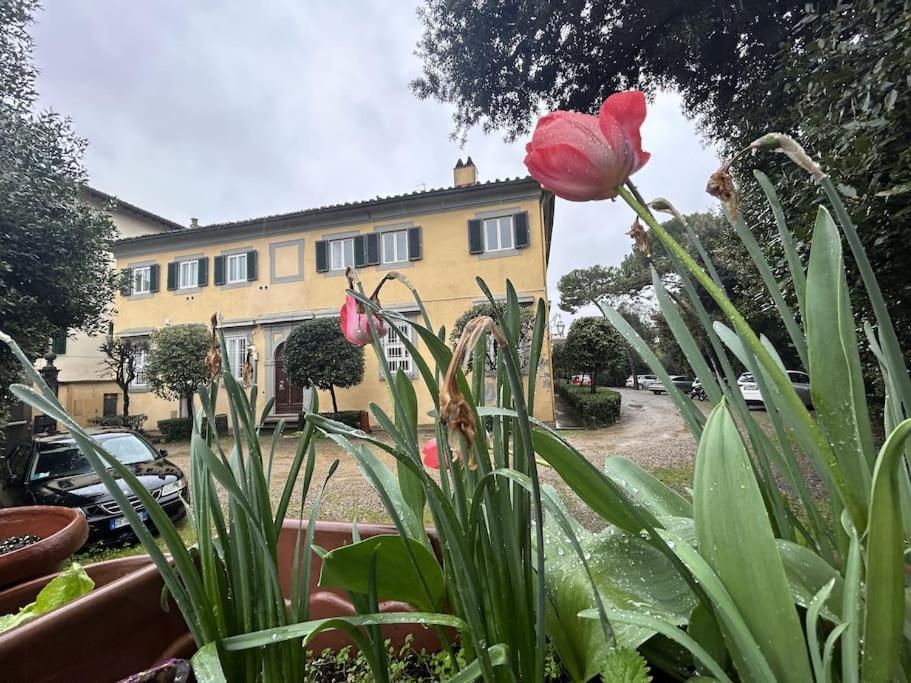 Lejlighed Residenza Storica In Palazzo Bruciato