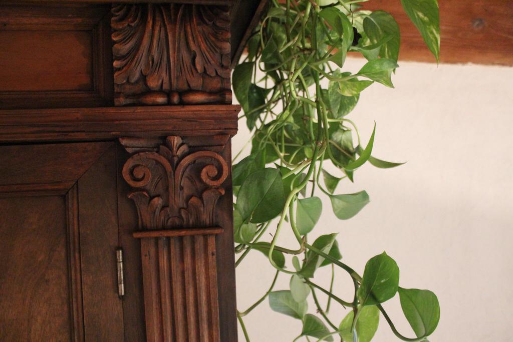 Pitti Loft Apartamento *